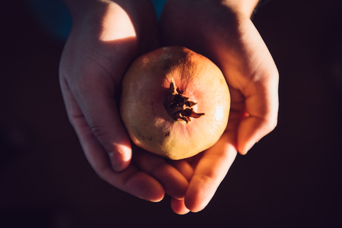 Lesní bobule bohaté na antioxidanty